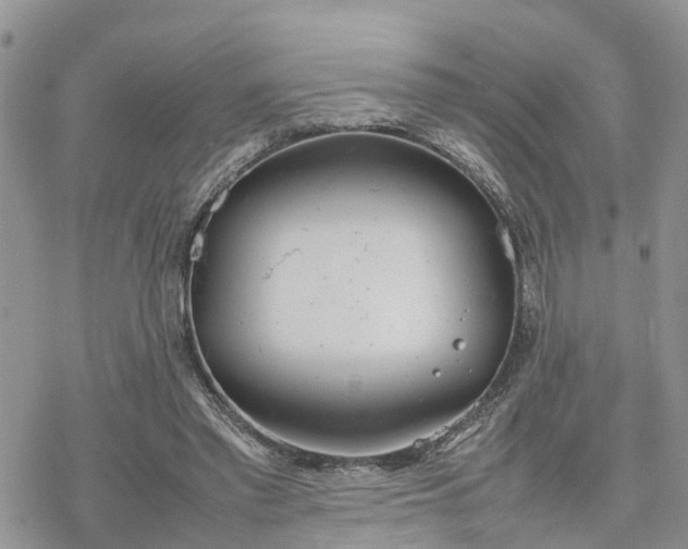 X0000078240397200611171504