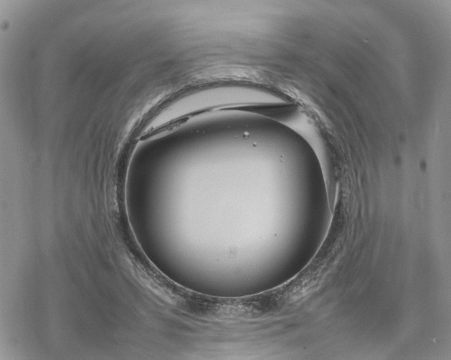 X0000078240399200611171504