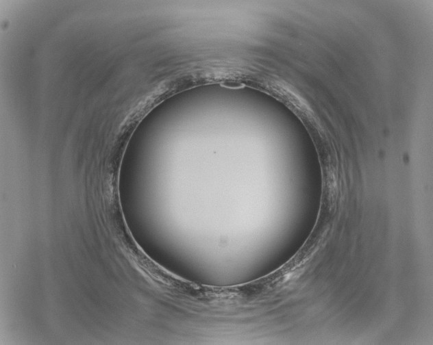 X0000078240401200611171503