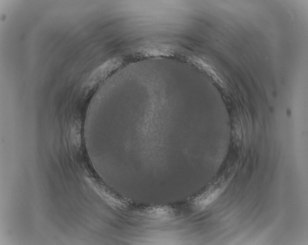 X0000078240402200611171503