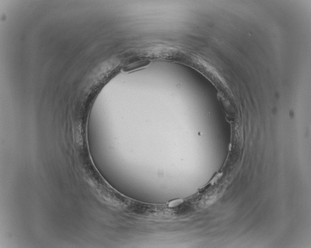 X0000078240403200611171503