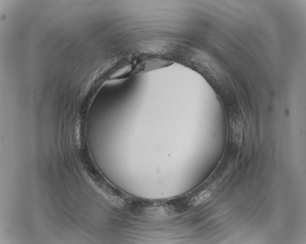 X0000078240404200611171503