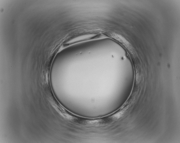 X0000078240405200611171503