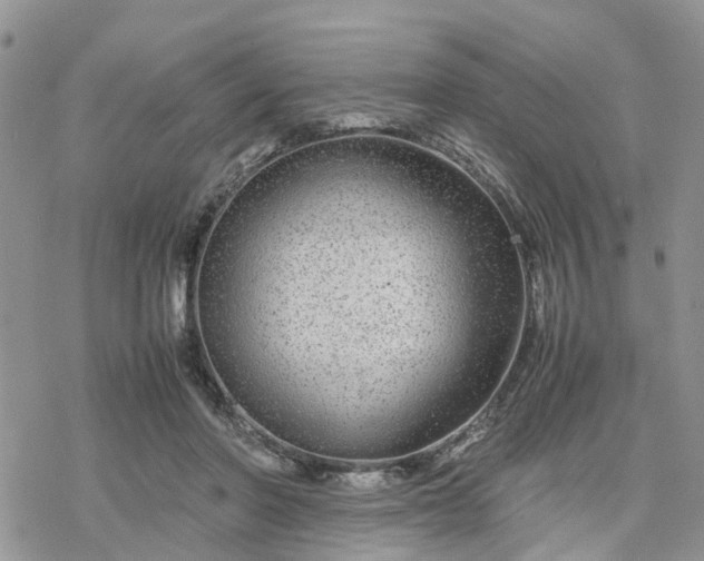 X0000078240406200611171503