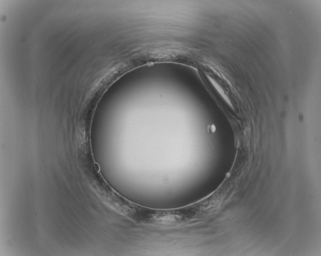 X0000078240407200611171503