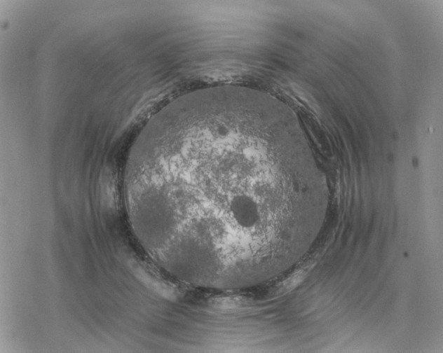 X0000078240408200611171503