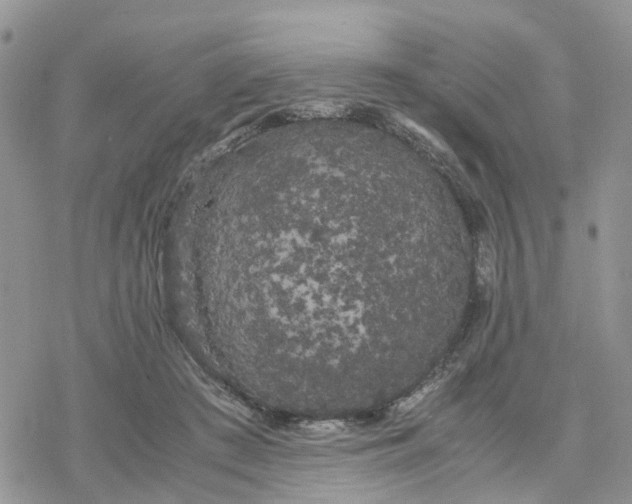 X0000078240409200611171503