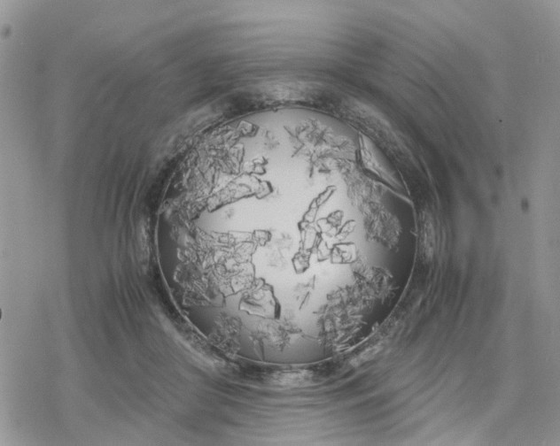 X0000078240410200611171503