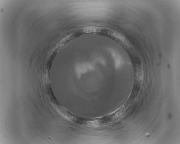 X0000078240411200611171503