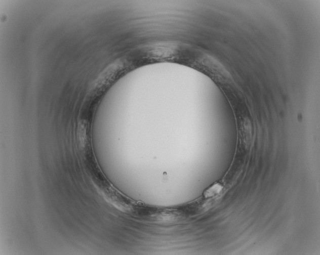 X0000078240412200611171503