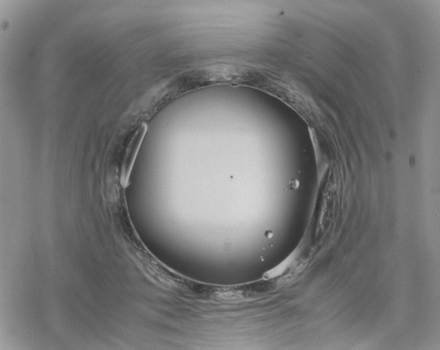 X0000078240413200611171503