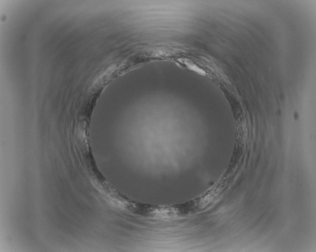 X0000078240415200611171503