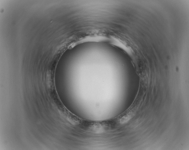 X0000078240416200611171503