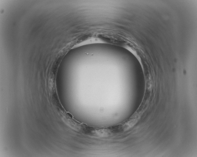 X0000078240417200611171503