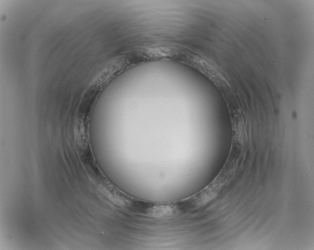 X0000078240418200611171503