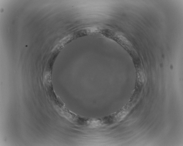 X0000078240419200611171503