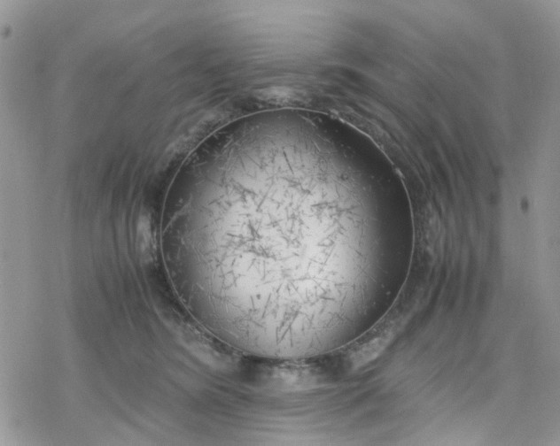 X0000078240420200611171503