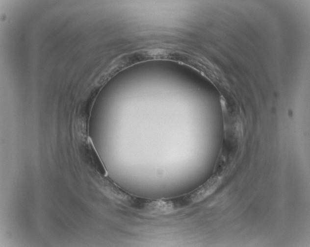 X0000078240421200611171503