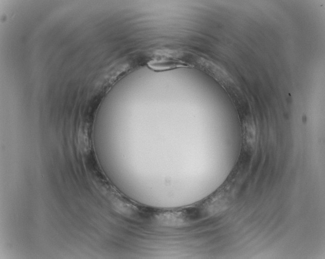 X0000078240422200611171503