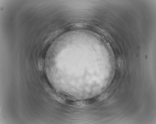 X0000078240423200611171503