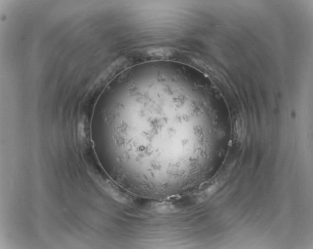 X0000078240424200611171503