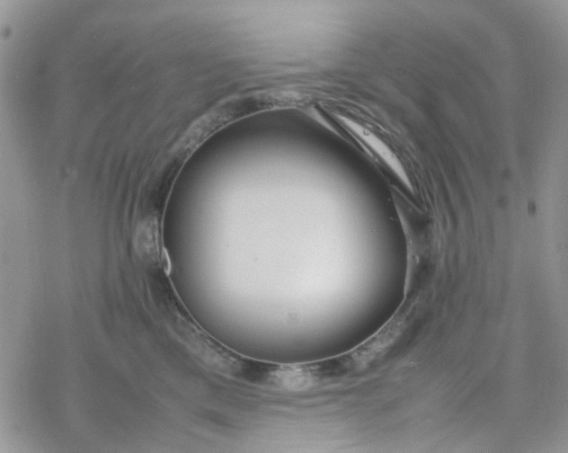 X0000078240425200611171503