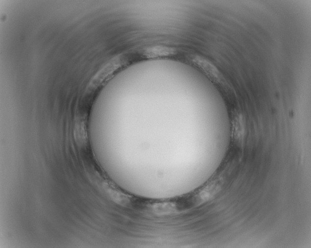 X0000078240426200611171503