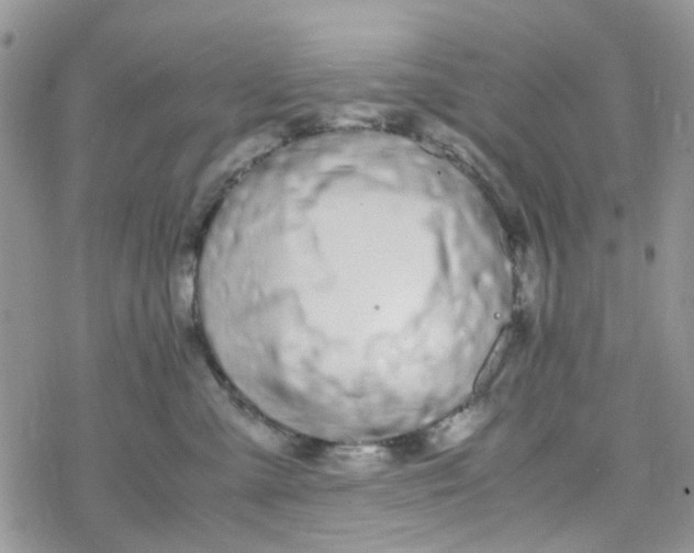 X0000078240427200611171503