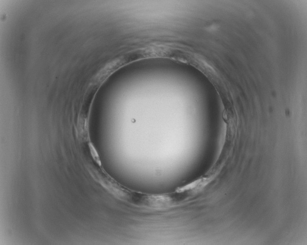 X0000078240429200611171503