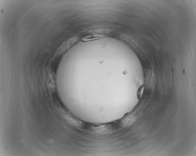 X0000078240430200611171503