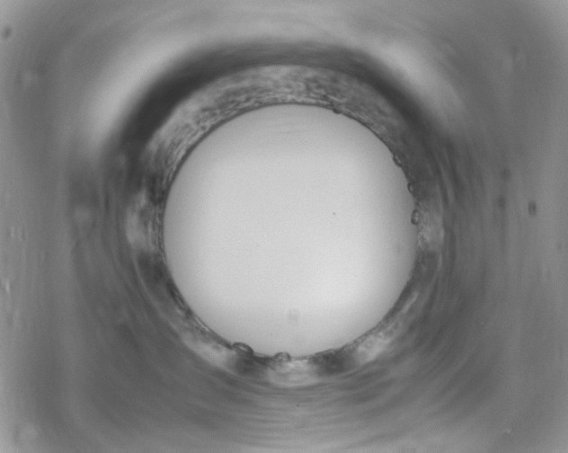 X0000078240431200611171503