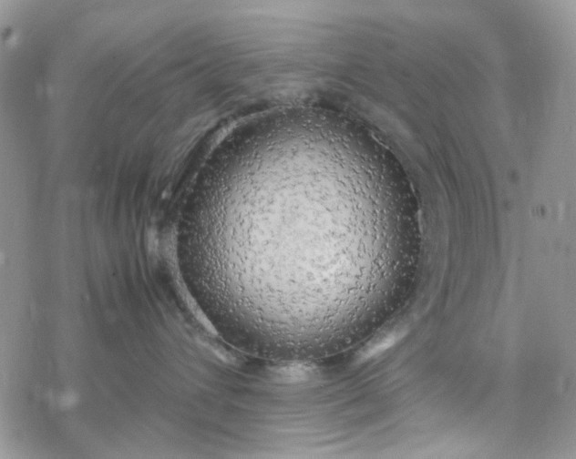 X0000078240432200611171503