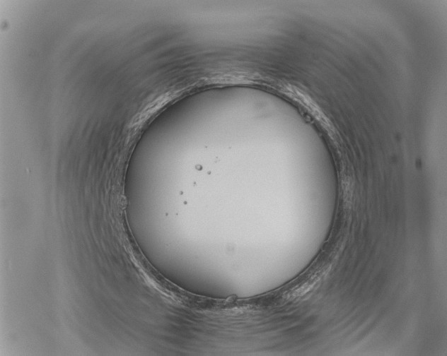 X0000078240433200611171502