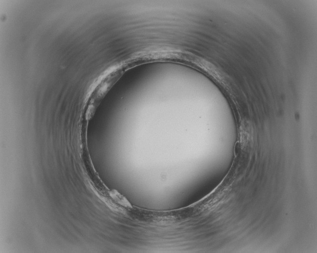 X0000078240438200611171502