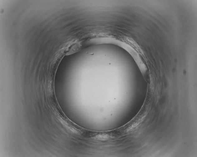 X0000078240441200611171502