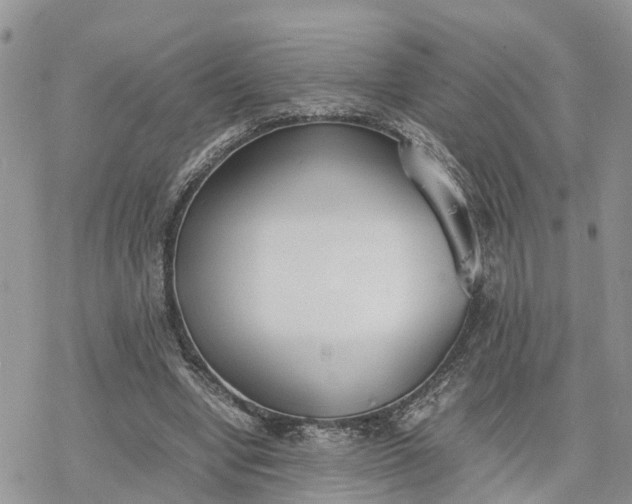 X0000078240442200611171502