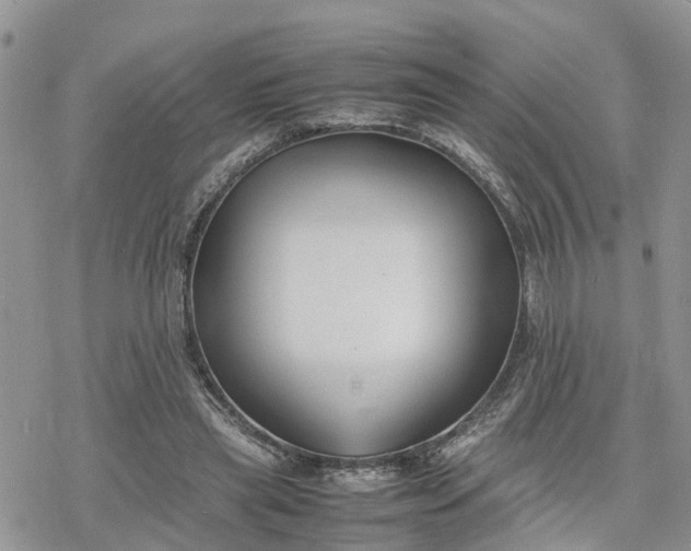 X0000078240445200611171502