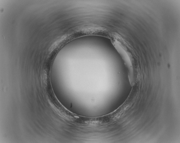 X0000078240448200611171502