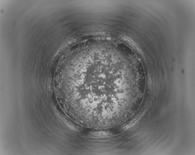 X0000078240449200611171502