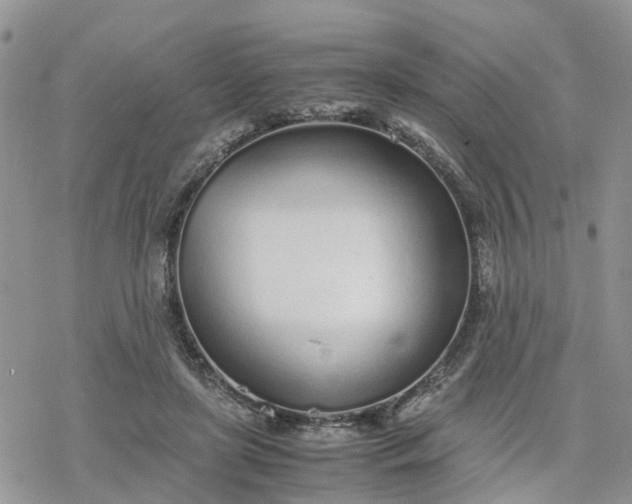 X0000078240451200611171502