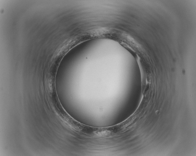 X0000078240452200611171503