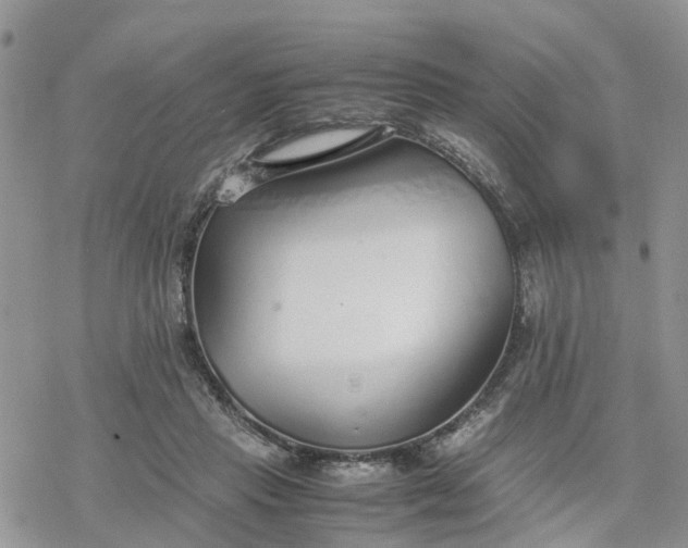 X0000078240453200611171503