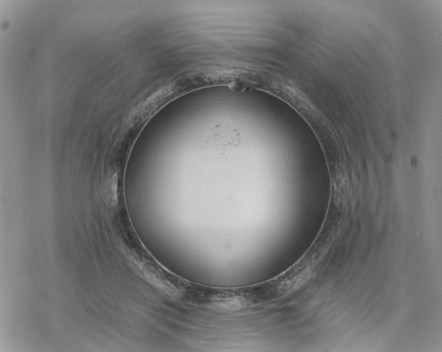 X0000078240454200611171503