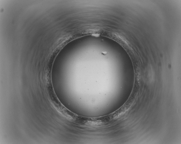 X0000078240455200611171503