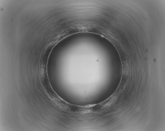 X0000078240456200611171503