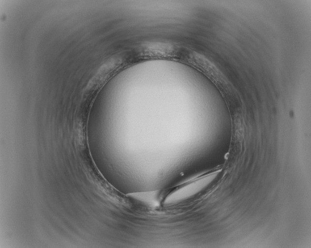 X0000078240457200611171503