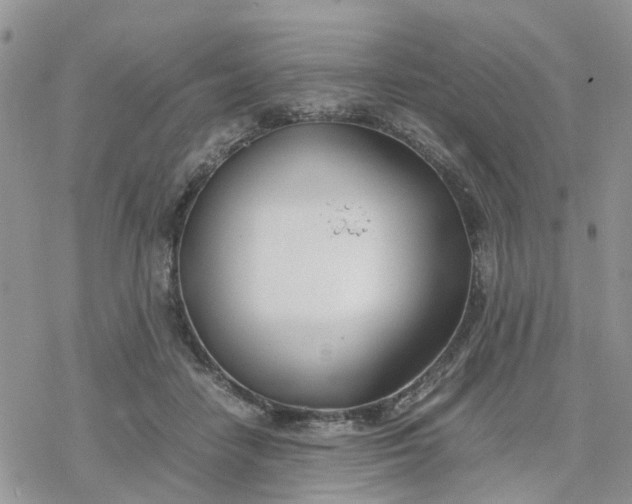 X0000078240458200611171503