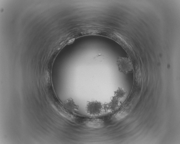 X0000078240459200611171503