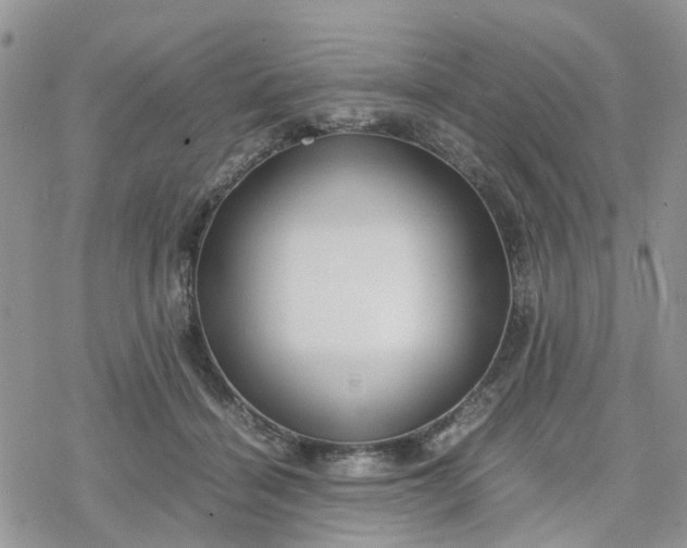 X0000078240460200611171503