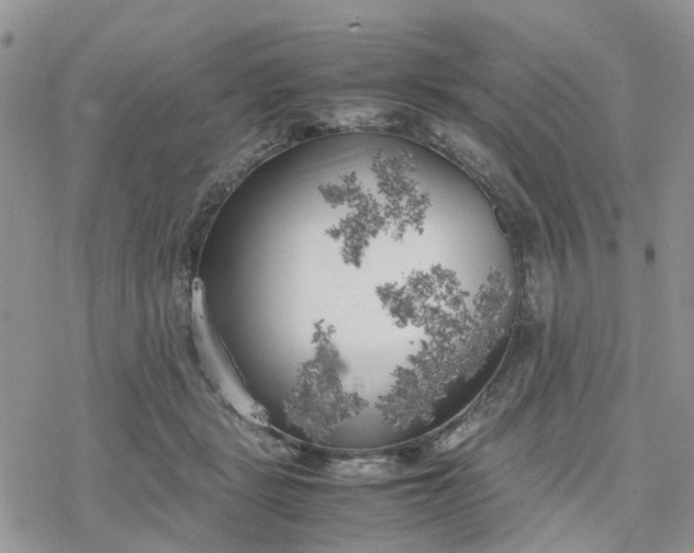 X0000078240461200611171503